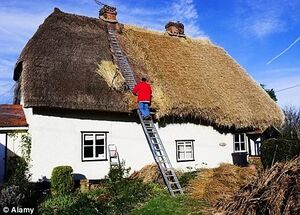 Thatching.jpg