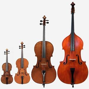 Violin family.jpg