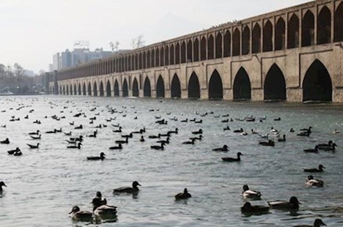 پرونده:2042191278-2.jpg