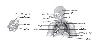 14228300-3.jpg
