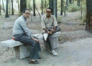 عباس کیارستمی و احمدرضا احمدی