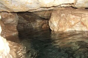 2042191189-2.jpg