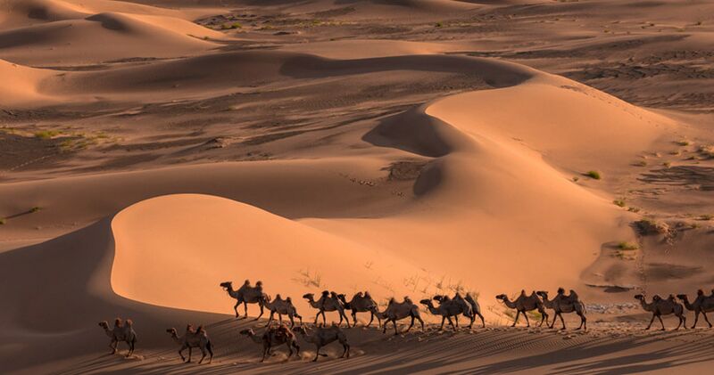پرونده:36036200-1.jpg