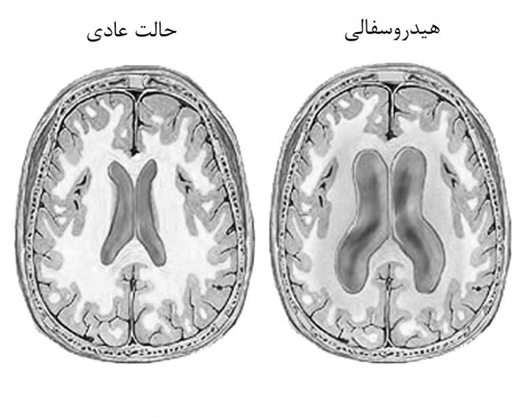 پرونده:41179200.jpg