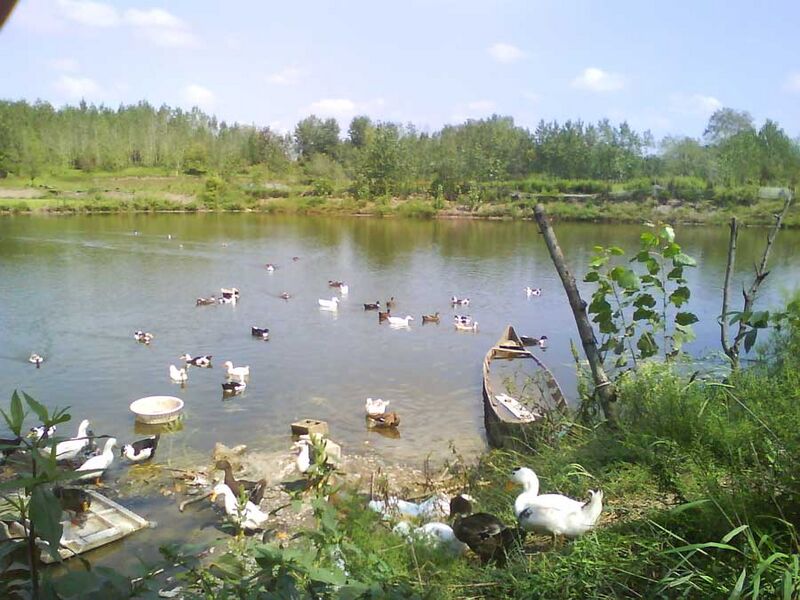 پرونده:2042190794-3.jpg