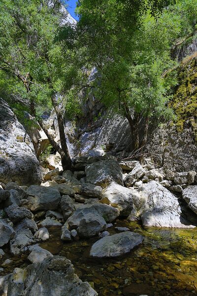 پرونده:J23 326 Nacimiento del Guadalquivir.jpg