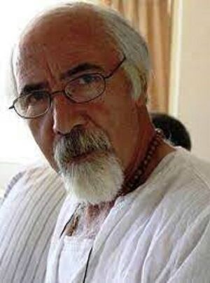 ملک‌محمد مسعودی.jpg