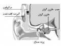 تصویر بندانگشتی از نسخهٔ مورخ ‏۲۱ مهٔ ۲۰۱۷، ساعت ۰۵:۴۶