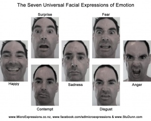 7 emotions.jpg